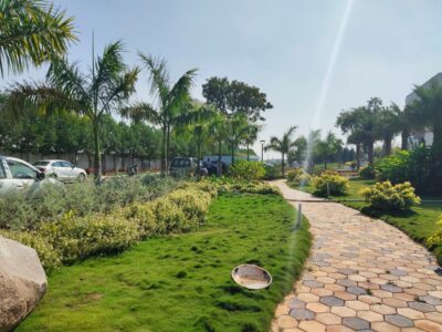 Open plots in adibatla