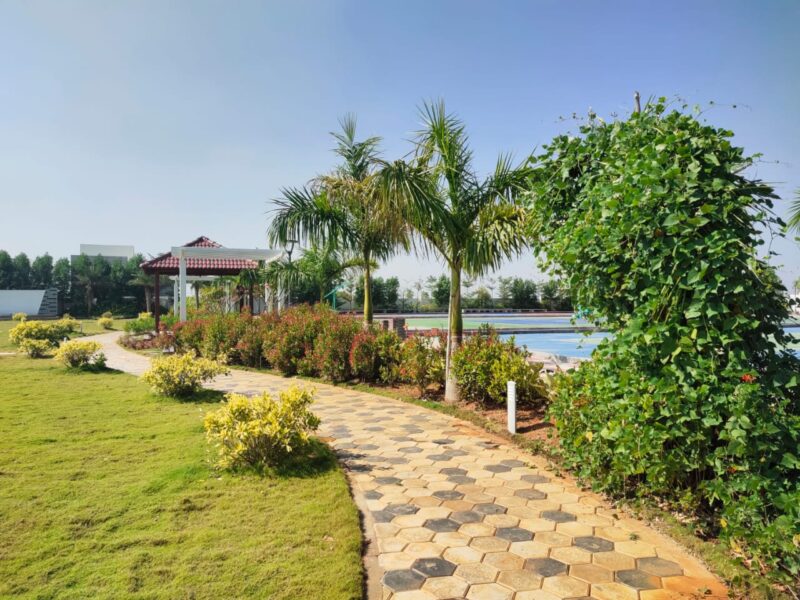 Open plots in adibatla